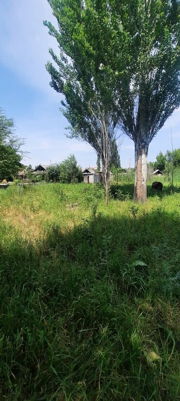 Продажа участков: 9 соток — 19