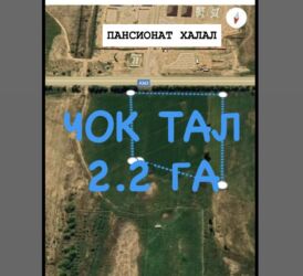 дом в дордой: 220 соток, Для сельского хозяйства