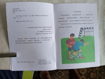 Художественная литература: Приключения — 9