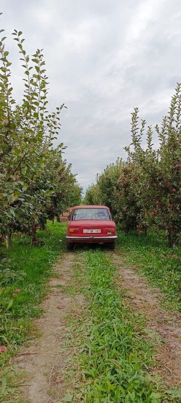 vaz 2101 faralari: VAZ (LADA) 2101: 1.3 l | 1985 il 147783 km Sedan