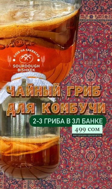 эко чай отзывы кыргызстан: Чайный гриб для комбучи В 3 л банке живет, заберете вместе с банкой