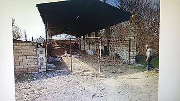 mida yasamal da ev satılır: FERMA HAZIR ISTIFADEYE YARARLI HEC BIR XERC TELEB ETMIR UMUMILIKDE 4 — 7