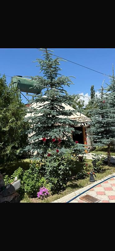 Ысык-Көлдө мейманканалар: Ысык-Көлдө мейманкана, Лаванда, Чоң-Сары-Ой, 5 орун — 9