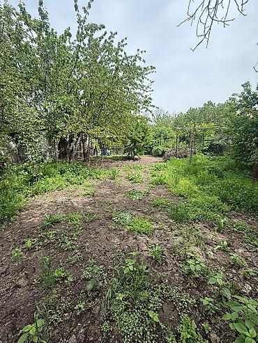 дзержинск: 7 соток, Для строительства, Договор купли-продажи, Красная книга — 6