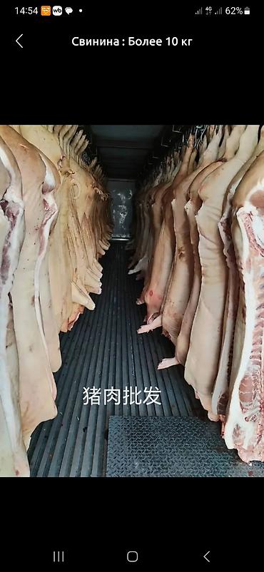 Свинина: Свинина. Опт от 10 кг. - Ассортимент: полутуши, грудинка/бекон с — 2