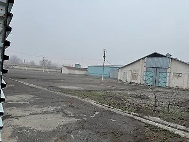 продаю гараж бишкек: Продаю промзону 8га красная книга!!! документы все в порядке все — 4