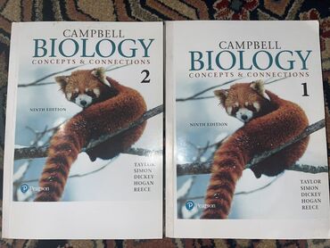 экзамен пдд: Оригинальные учебники Campbell Biology: Concepts & Connections