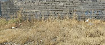 3 sot torpaq: 3 sot, Tikinti, Mülkiyyətçi, Kupça (Çıxarış) — 7