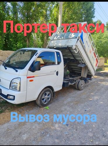 Другие животные: Портер такси 🚕 Портер такси 🚕 Портер такси 🚕 Портер такси 🚕 Портер