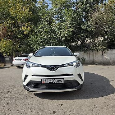 adam d3v: Toyota C-HR: 2020 г., 2 л, Вариатор, Бензин, Кроссовер — 1