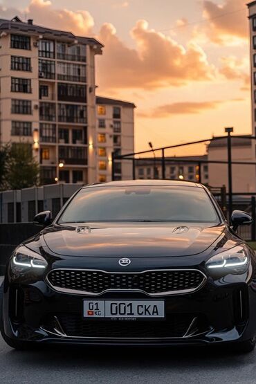 парок на венто: Kia : 2019 г., 2 л, Автомат, Бензин, Седан
