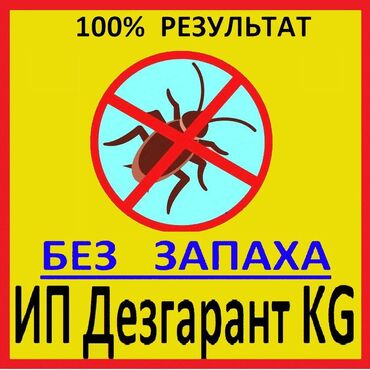obmenka kg: Дезинфекция, дезинсекция | Клопы, Блохи, Тараканы | Транспорт, Офисы, Квартиры