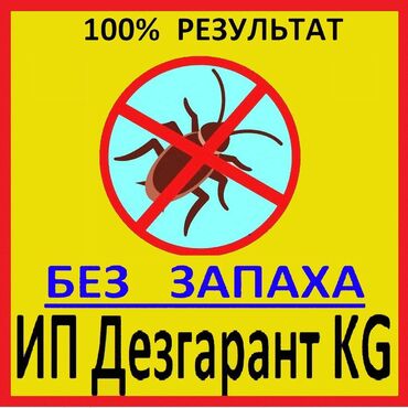 Дезинфекция, дезинсекция: Дезинфекция, дезинсекция, | Клопы, Блохи, Тараканы, | Транспорт, Офисы, Квартиры