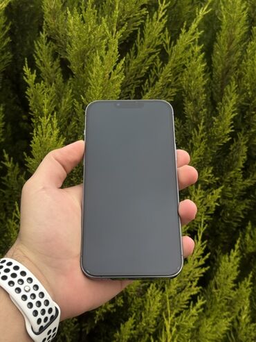 Apple iPhone: IPhone 13 Pro Max, 128 GB, Sierra Blue, Face ID — 24