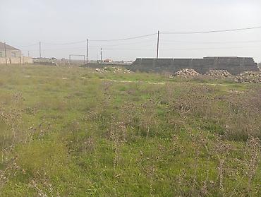 sut satisi: 6 sot, Kənd təsərrüfatı, Maklerlər narahat etməsin, Kupça (Çıxarış) — 3