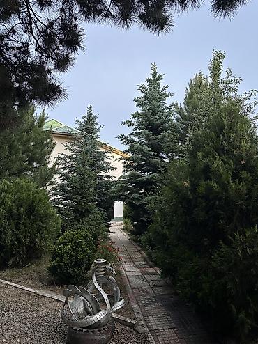вост 2 бишкек: Гостевой дом у озера — для тех, кому нужен отдых от городской суеты в — 3