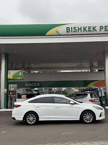 Hyundai: Hyundai Sonata: 2019 г., 2 л, Автомат, Бензин, Седан — 4