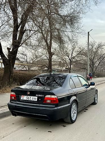 BMW: BMW 5 series: 2000 г., 3 л, Механика, Бензин — 3