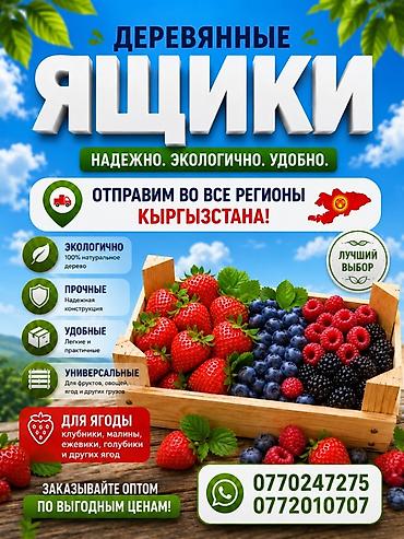 Деревянный Ящик, Новый