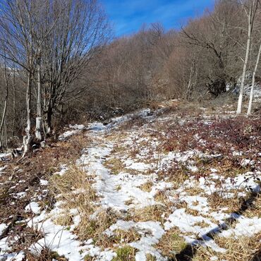 Torpaq sahələrinin satışı: 65 sot, Kənd təsərrüfatı, Mülkiyyətçi, Kupça (Çıxarış), Bələdiyyə — 9
