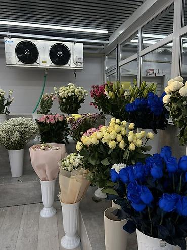 продавец цветов: Ищем флориста с опытом в новую цветочную на Горького/Элебаева. Все — 2