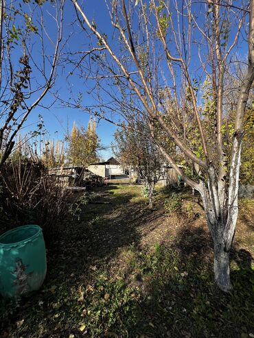 Продажа домов: Дом, 45 м², 2 комнаты, Собственник, Старый ремонт — 19