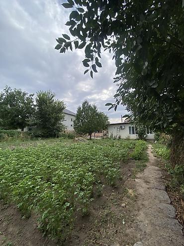 модульный жом: Дом с приусадебным участком и садом - Одноэтажный дом с скатной — 6