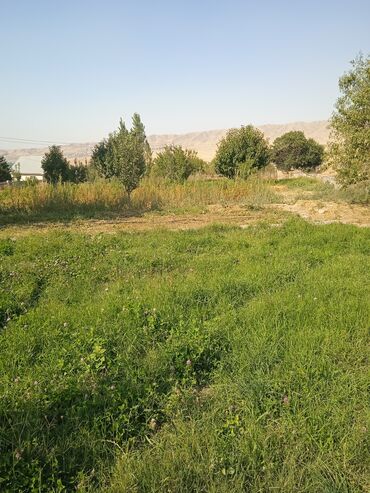 Продажа участков: 20 соток, Для сельского хозяйства — 6