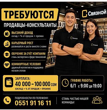 аппарат для пескаблок: Требуется Продавец-консультант в Магазин электроники, График: Шестидневка, % от продаж, Полный рабочий день — 1