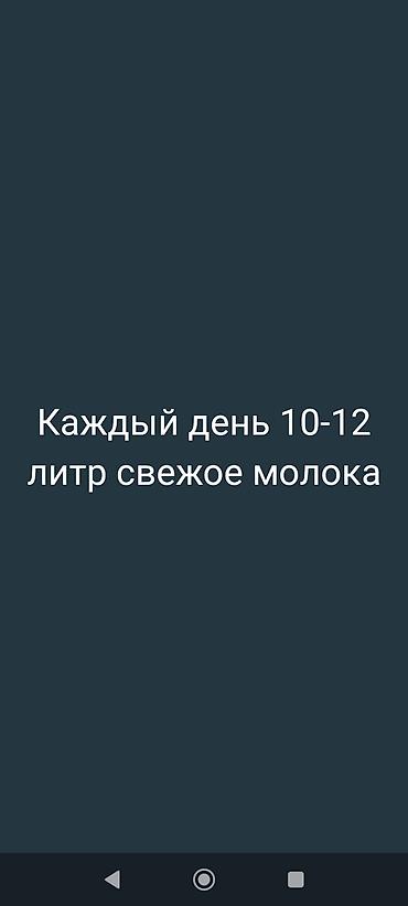 отель расходники: Козье молоко, Домашнее, В розницу — 6