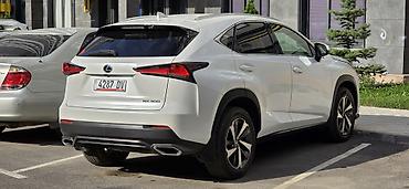 лехус нх 300: Lexus NX: 2019 г., 2 л, Автомат, Бензин, Кроссовер — 3