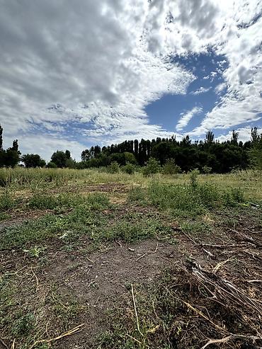 село ленинск: 📌В селе Петровка срочно продаётся дом на участке 40 соток, длина — 5