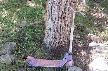 самокат детский цена: Детские транспортные игрушки комплектом Самокат в хорошем состоянии по — 4