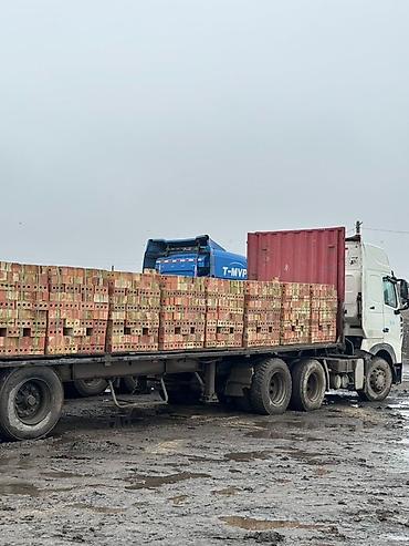 каменные доски: Пустотелый, дырчатый, Жженый кирпич, Одинарный, 250×120×65 — 2