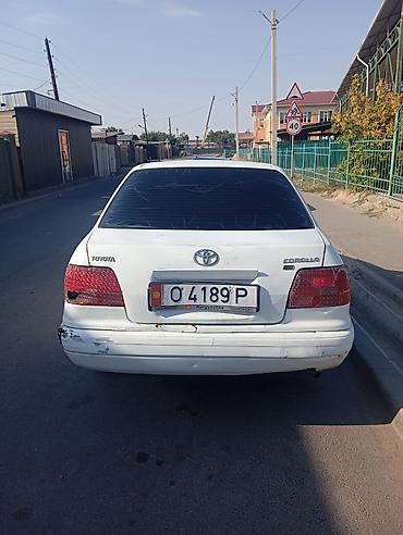 55 camry: Toyota Corolla: 1995 г., Механика, Бензин, Седан — 3