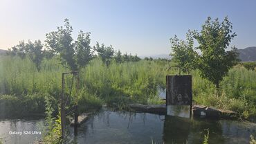 я ищу дом рабочий городок: 2 соток, Бизнес үчүн, Кызыл китеп