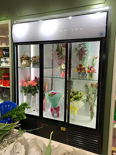 Холодильные витрины: Для напитков, Для молочных продуктов, Для мяса, мясных изделий, Новый — 5