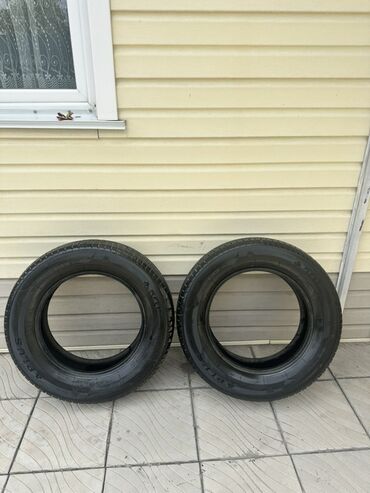 червяк на гигант: Две автомобильные шины A-Plus A607 размером 215/65R16. Подходят для