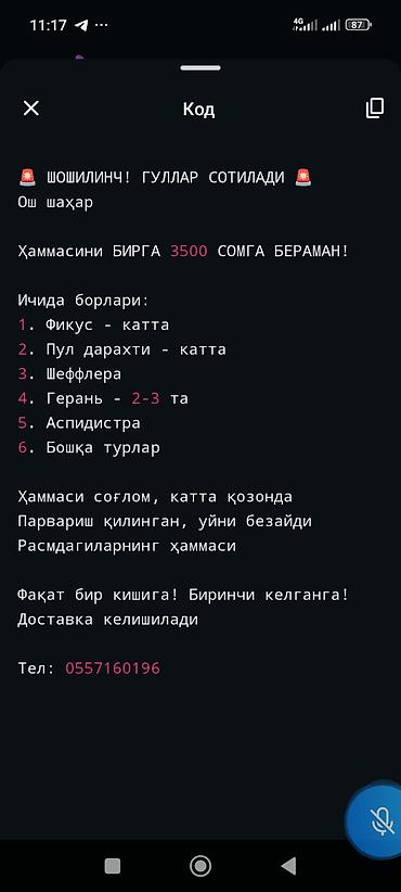 теплый линолеум цена: Коллекция комнатных растений — одним лотом Состав: - Фикус эластика — 1