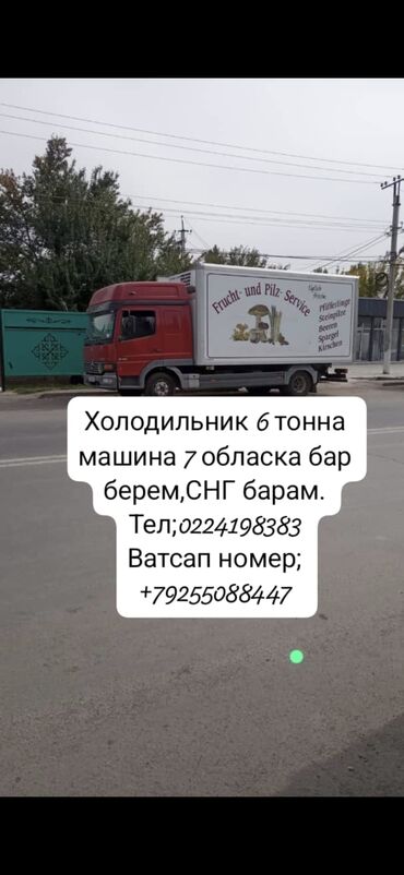 автоэлектрик дордой: Жумуш керек либой жакга бара берем