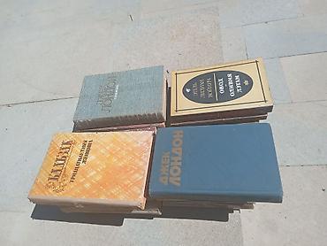 rus it adlari: Klassik ədəbiyyatdan ibarət qarışıq rusdilli kitab dəsti Tərkibdən — 5