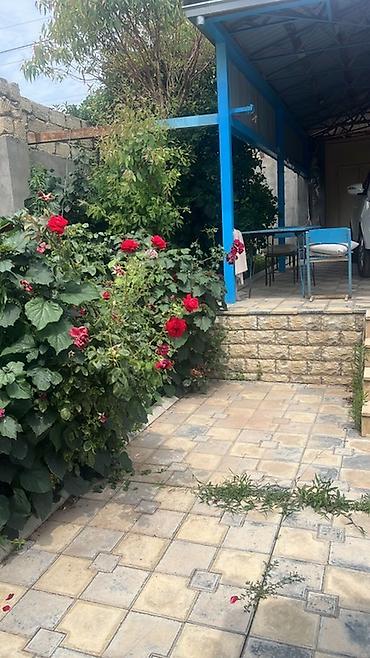 kiraye evler 4 cu mikrorayon: 4otaqlı mənzil – geniş qonaq otağı, yataq otağı və uşaq/iş otağı — 6