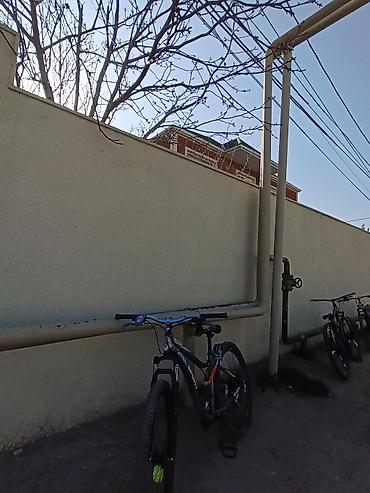 Dağ velosipedləri: Dağ velosipedi – APL Sport - Çərçivə: demir, müasir enduro/trekking — 9