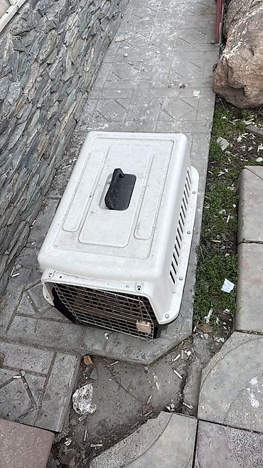 Накопительные водонагреватели: Переноска для животных + электрический водонагреватель (бойлер) 1) — 2