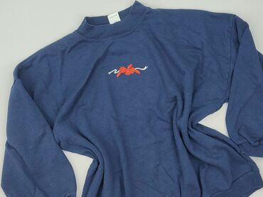 rajstop dla chłopca: Sweatshirt, 7 years, 116-122 cm, condition - Good