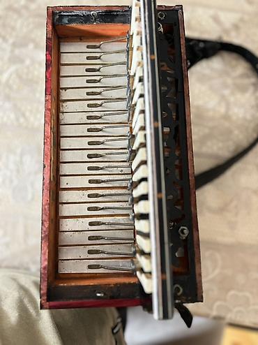 Qarmonlar: Qarmon, Akustik, İşlənmiş, Ödənişli çatdırılma, Ünvandan götürmə — 20