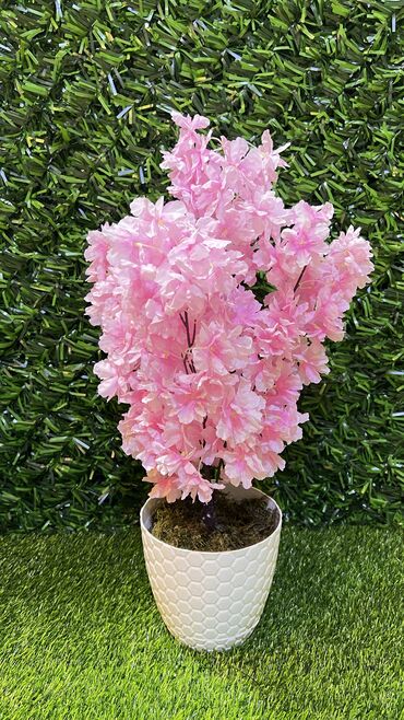 Süni güllər: 50 man baslayan qiymetler — 20