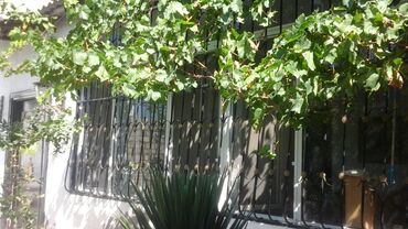 Həyət evləri və villaların satışı: 4 otaqlı, 300 kv. m, Orta təmir — 7