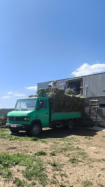 Коммерциялык транспорт: Жүк ташуучу унаа, Mercedes-Benz, Стандарт, 5 т, Колдонулган — 5