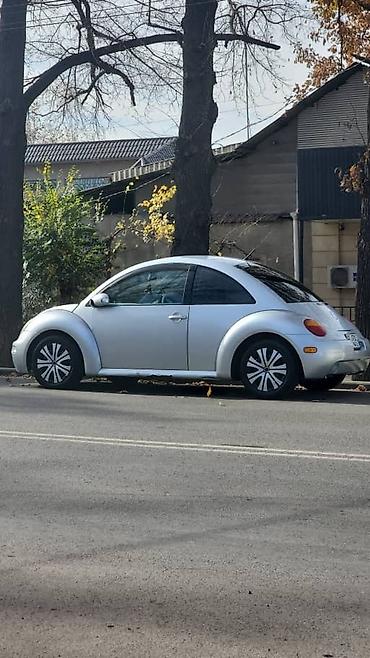 б у машины: Volkswagen Bettle: 2003 г., 2 л, Автомат, Бензин, Купе — 10